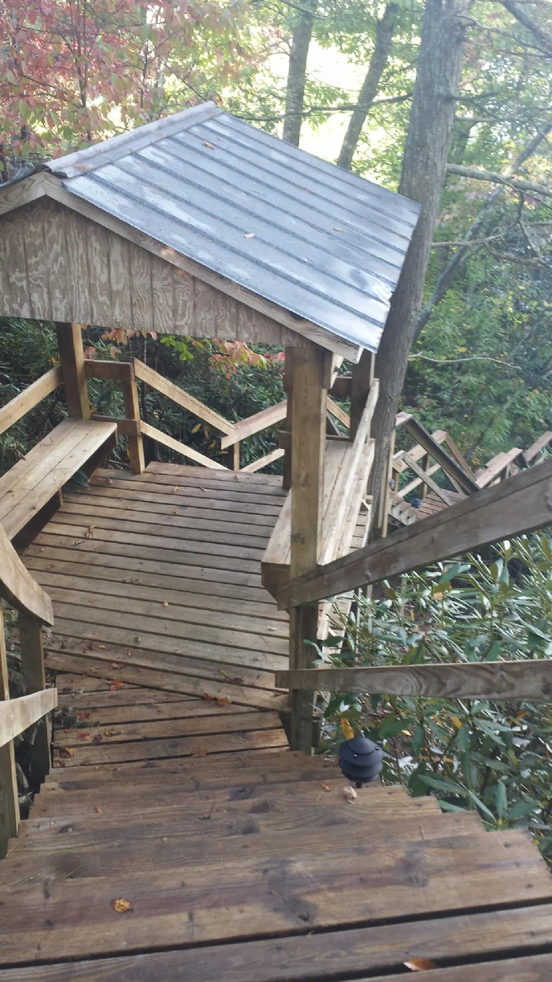 Metal roofed shelter over wooden steps on a wooded walkway — Skylight Repair & Installation work by our crew in Edmonds