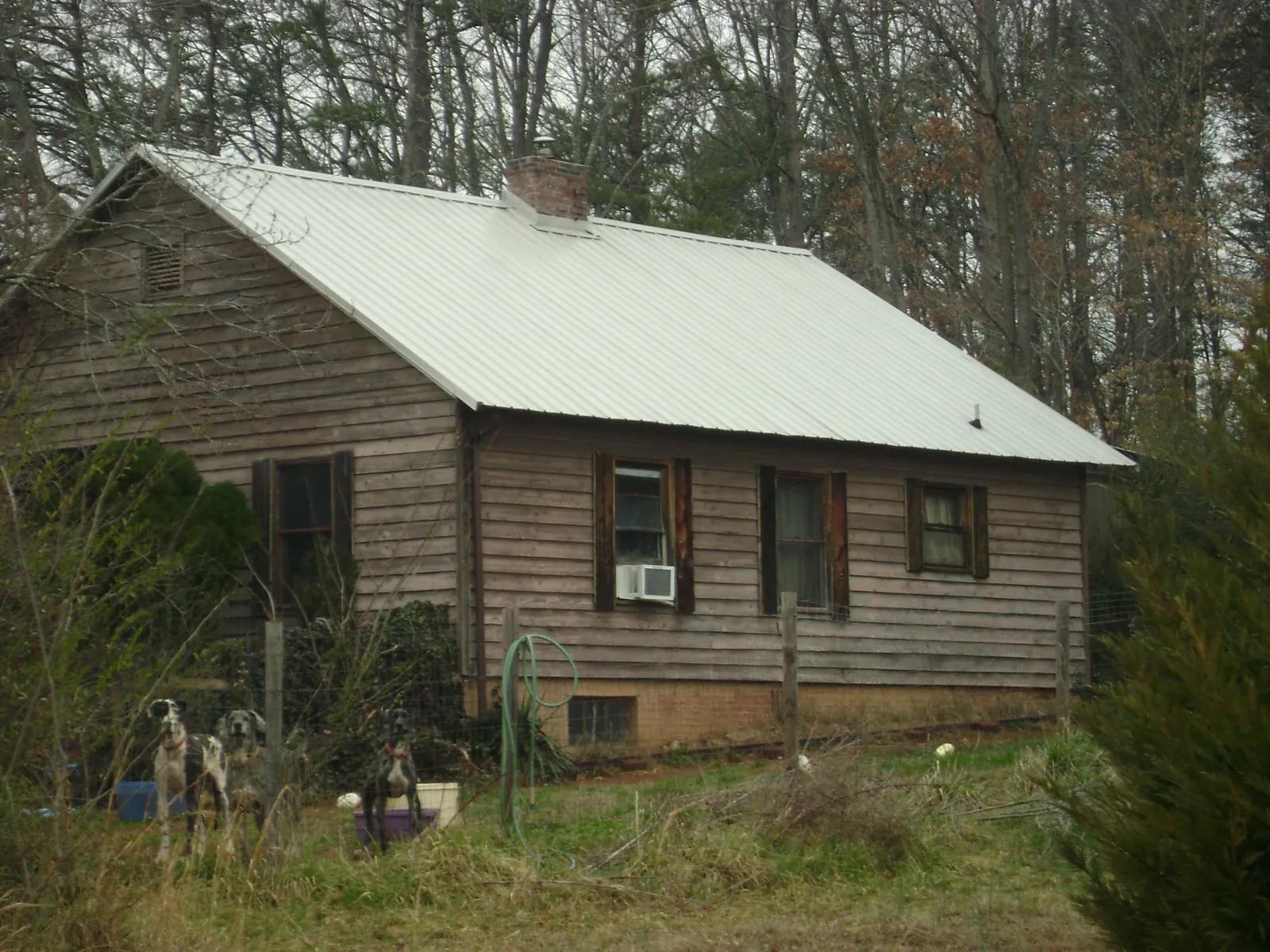 White metal roof on an old wood sided farmhouse, from a Metal Roof Installation job in Edmonds